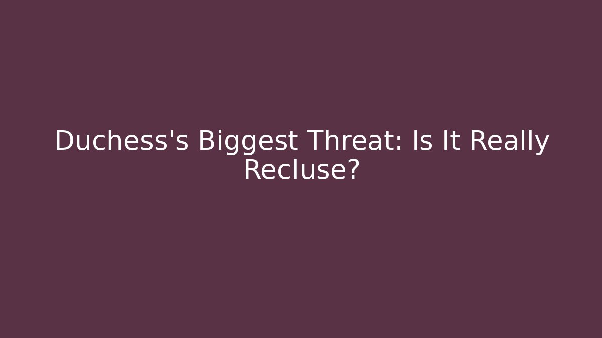 Duchess’s Biggest Threat: Is It Really Recluse?
