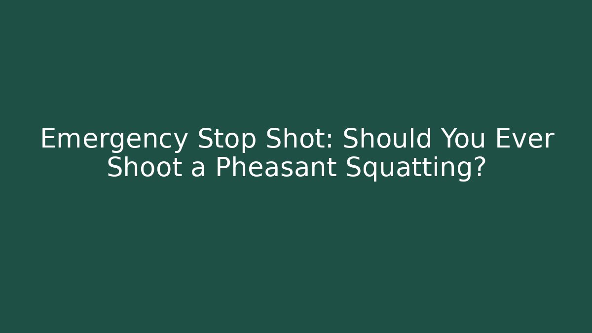 Emergency Stop Shot: Should You Ever Shoot a Pheasant Squatting?