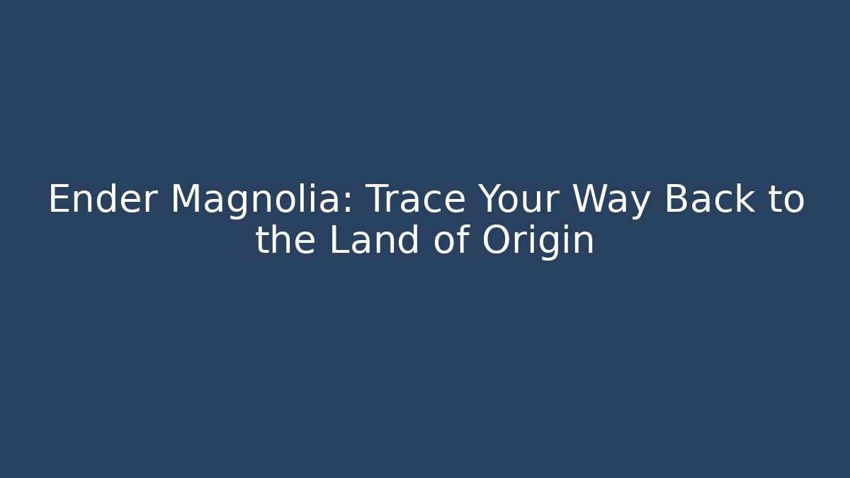 Ender Magnolia: Trace Your Way Back to the Land of Origin