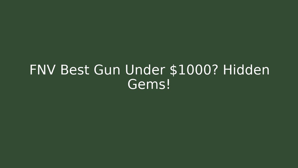 FNV Best Gun Under $1000? Hidden Gems!
