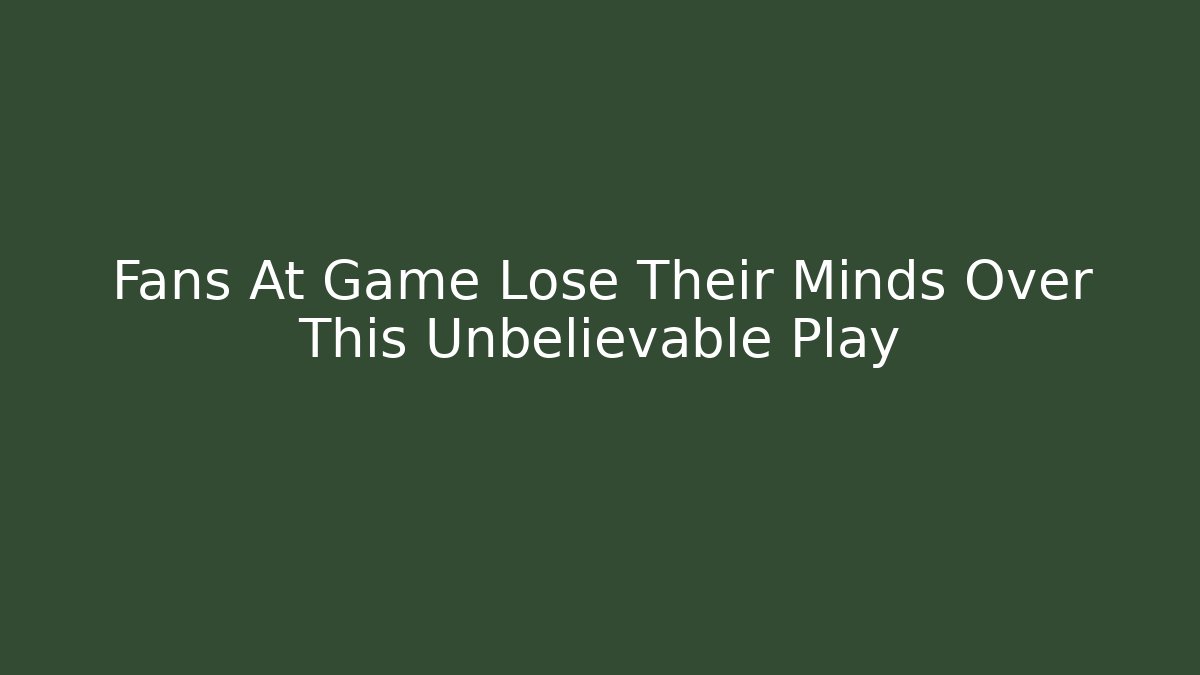 Fans At Game Lose Their Minds Over This Unbelievable Play