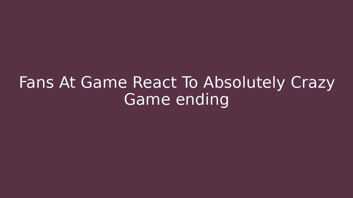 Fans At Game React To Absolutely Crazy Game ending