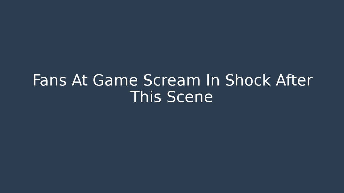 Fans At Game Scream In Shock After This Scene