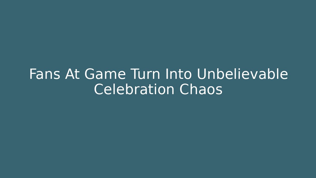 Fans At Game Turn Into Unbelievable Celebration Chaos