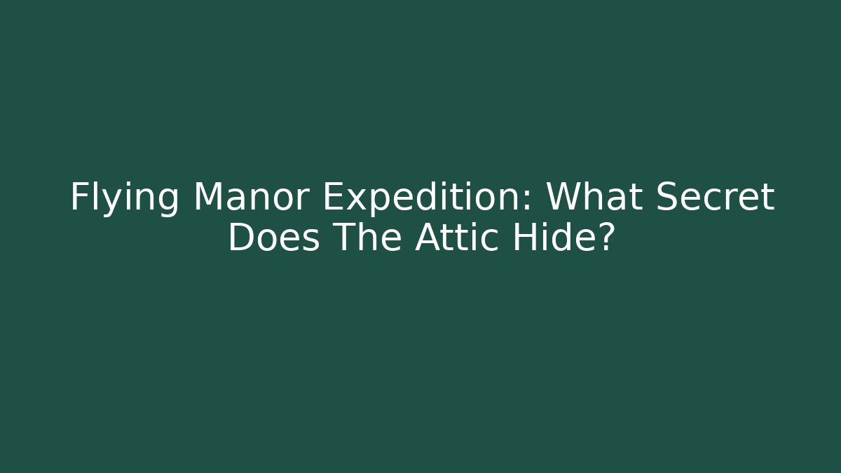 Flying Manor Expedition: What Secret Does The Attic Hide?