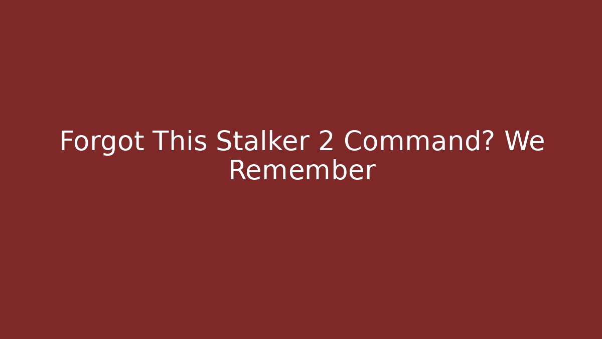 Forgot This Stalker 2 Command? We Remember