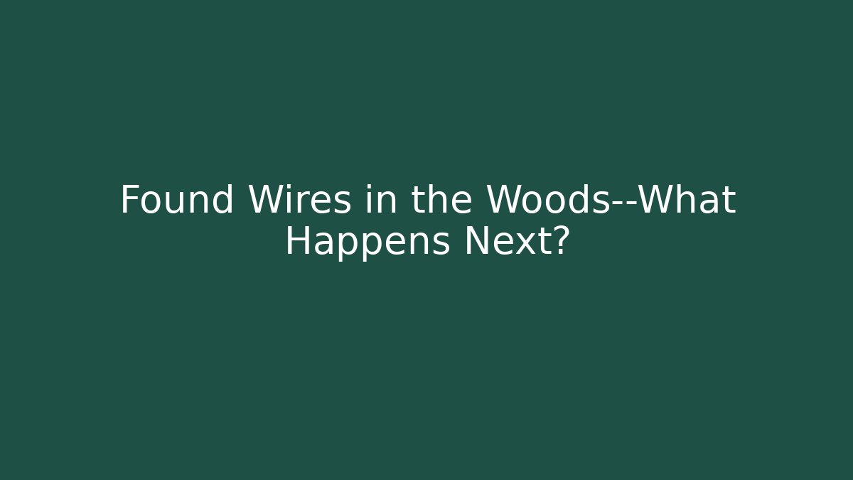 Found Wires in the Woods—What Happens Next?