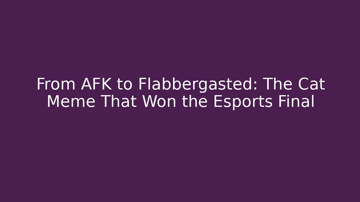 From AFK to Flabbergasted: The Cat Meme That Won the Esports Final