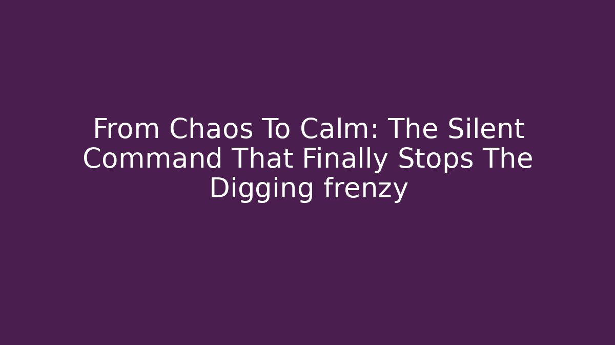 From Chaos To Calm: The Silent Command That Finally Stops The Digging frenzy