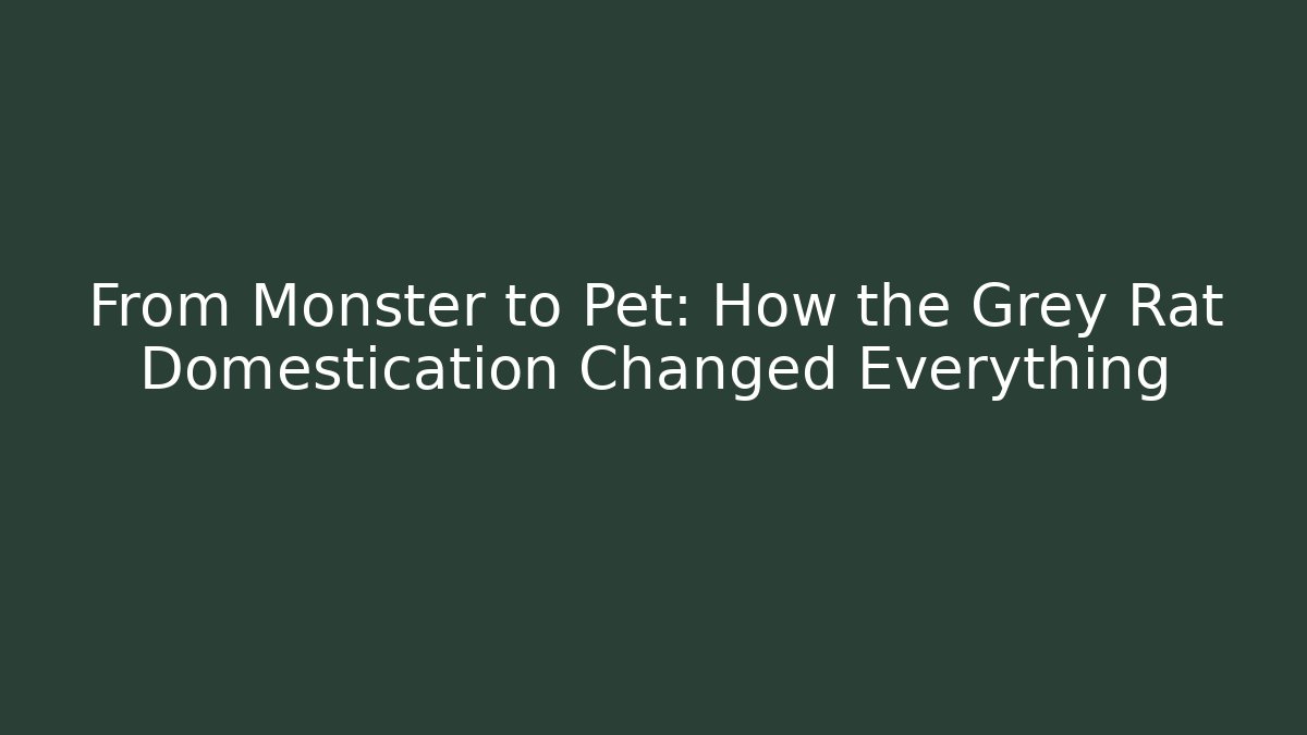From Monster to Pet: How the Grey Rat Domestication Changed Everything