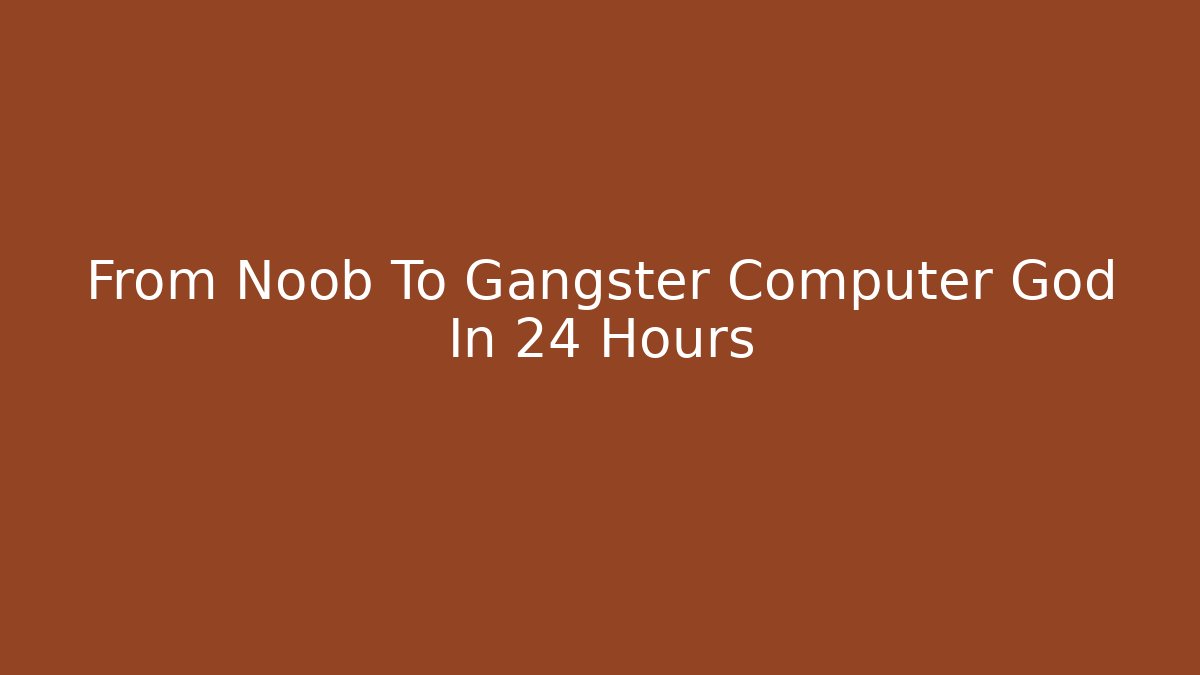 From Noob To Gangster Computer God In 24 Hours