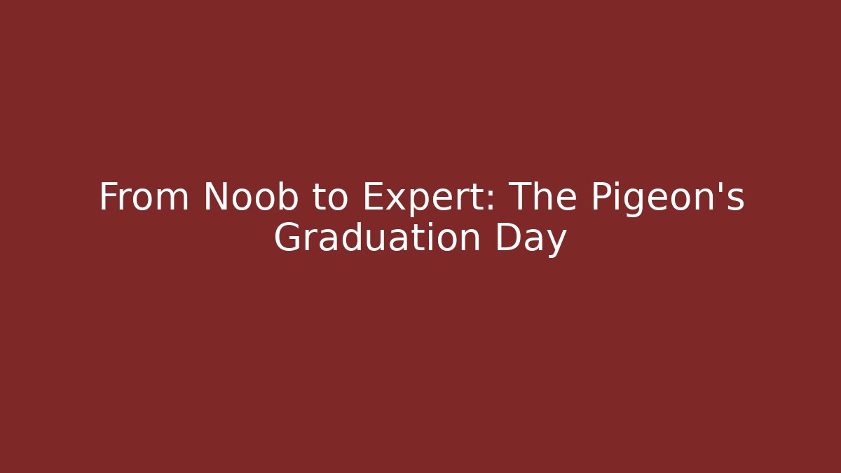From Noob to Expert: The Pigeon's Graduation Day