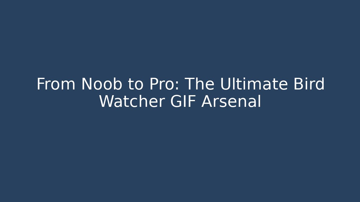 From Noob to Pro: The Ultimate Bird Watcher GIF Arsenal - Critter Realm