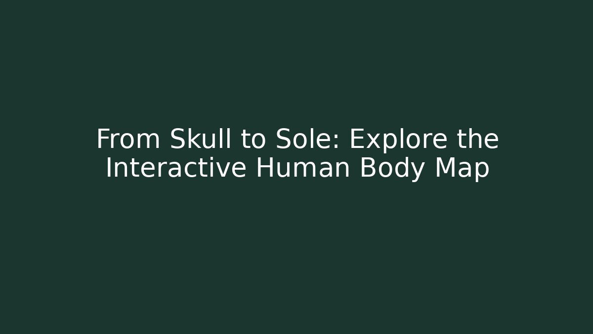 From Skull to Sole: Explore the Interactive Human Body Map - Critter Realm