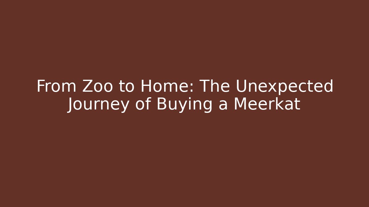 From Zoo to Home: The Unexpected Journey of Buying a Meerkat