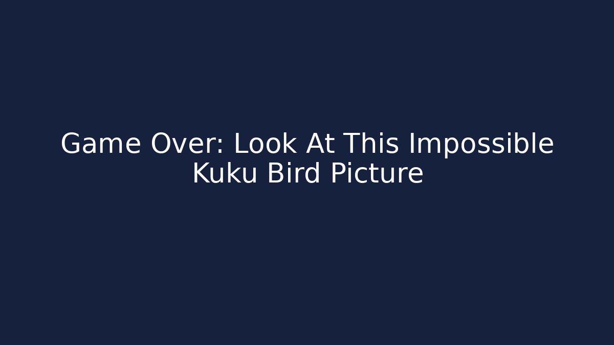 Game Over: Look At This Impossible Kuku Bird Picture