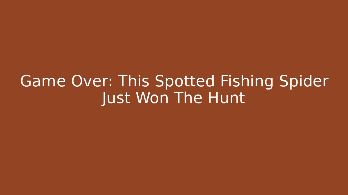 Game Over: This Spotted Fishing Spider Just Won The Hunt