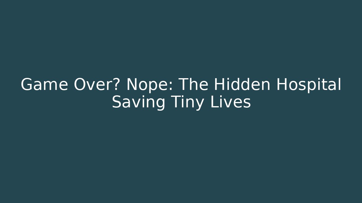Game Over? Nope: The Hidden Hospital Saving Tiny Lives