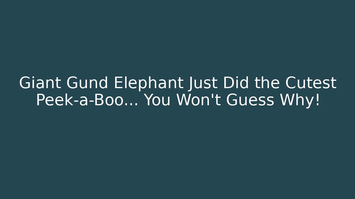 Giant Gund Elephant Just Did the Cutest Peek-a-Boo… You Won’t Guess Why!