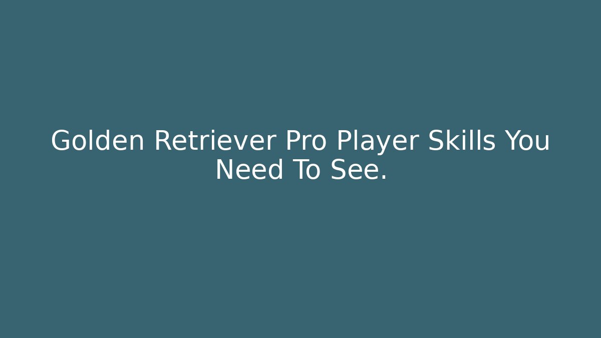 Golden Retriever Pro Player Skills You Need To See.