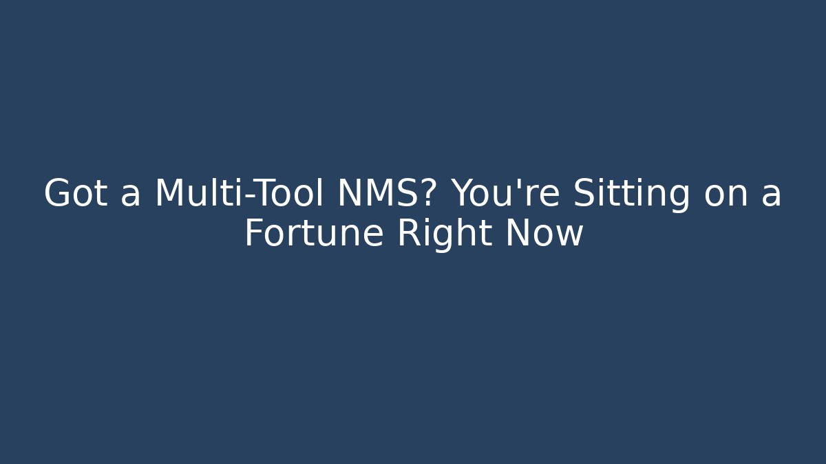Got a Multi-Tool NMS? You’re Sitting on a Fortune Right Now