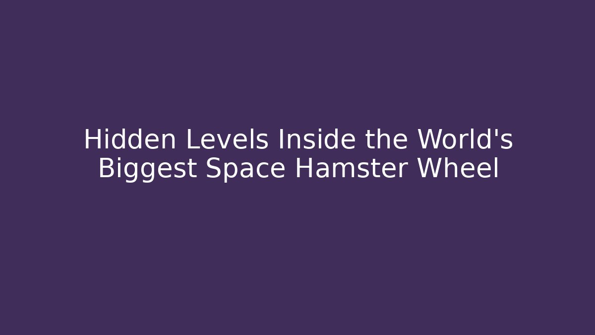 Hidden Levels Inside the World’s Biggest Space Hamster Wheel - Critter Realm