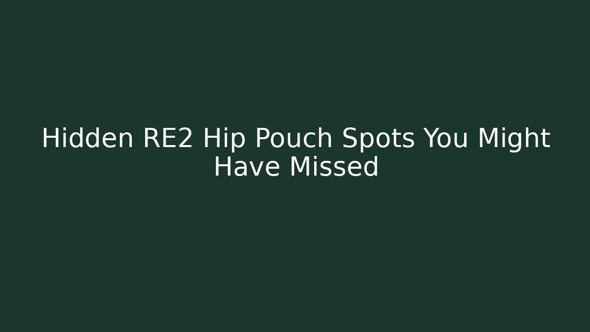 Hidden RE2 Hip Pouch Spots You Might Have Missed