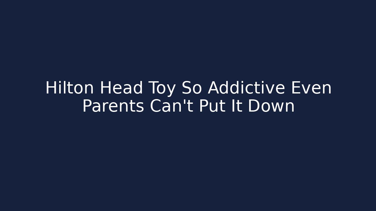 Hilton Head Toy So Addictive Even Parents Can't Put It Down
