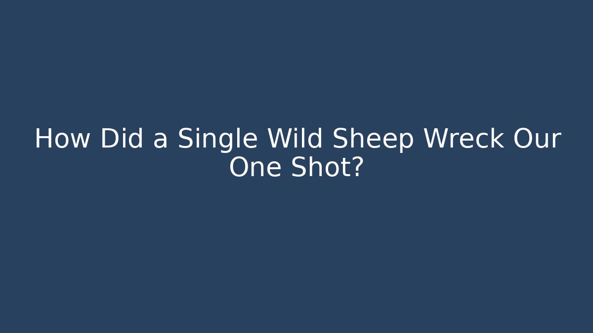 How Did a Single Wild Sheep Wreck Our One Shot?