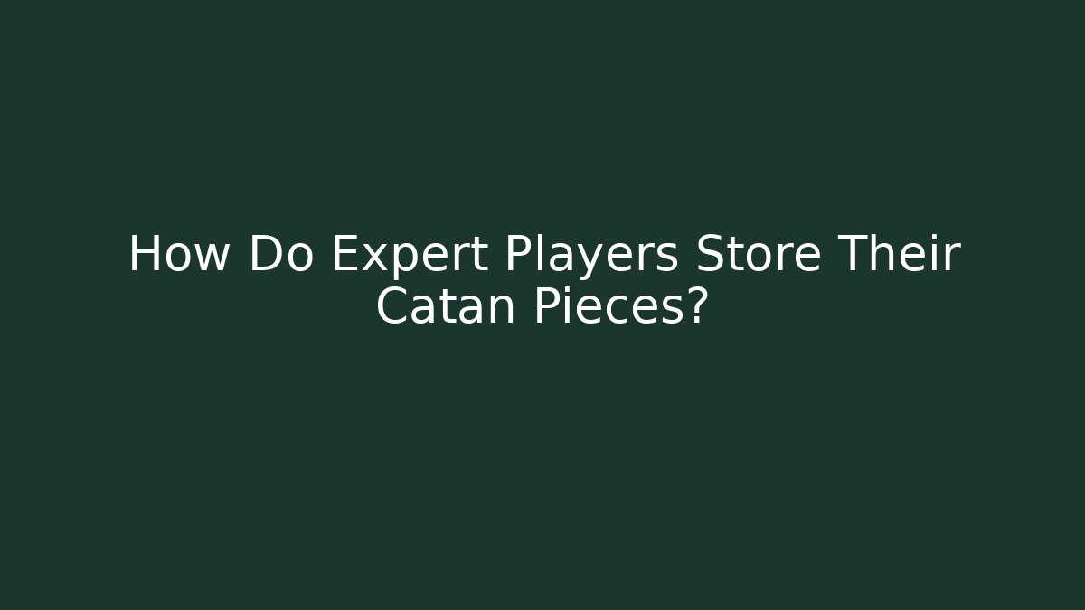 How Do Expert Players Store Their Catan Pieces?