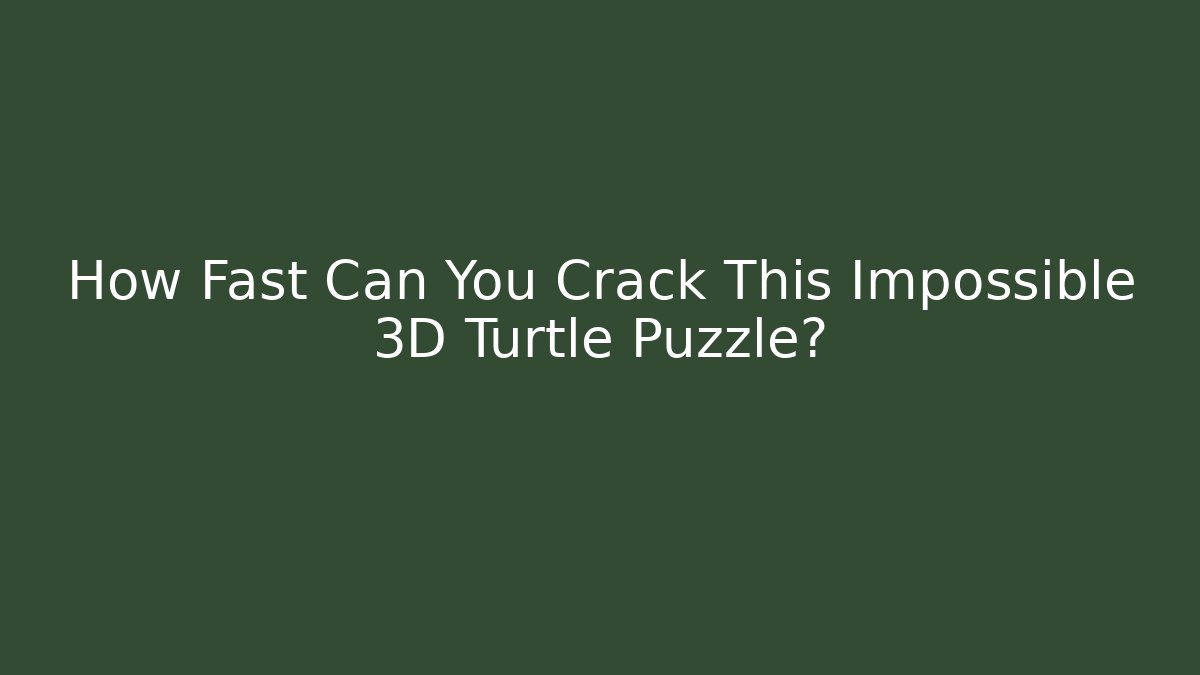 How Fast Can You Crack This Impossible 3D Turtle Puzzle?