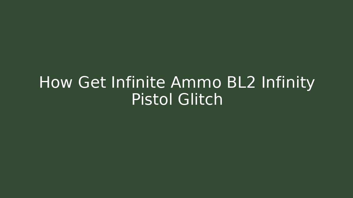 How Get Infinite Ammo BL2 Infinity Pistol Glitch