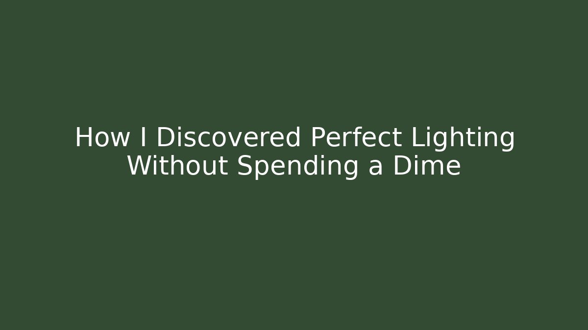 How I Discovered Perfect Lighting Without Spending a Dime - Critter Realm