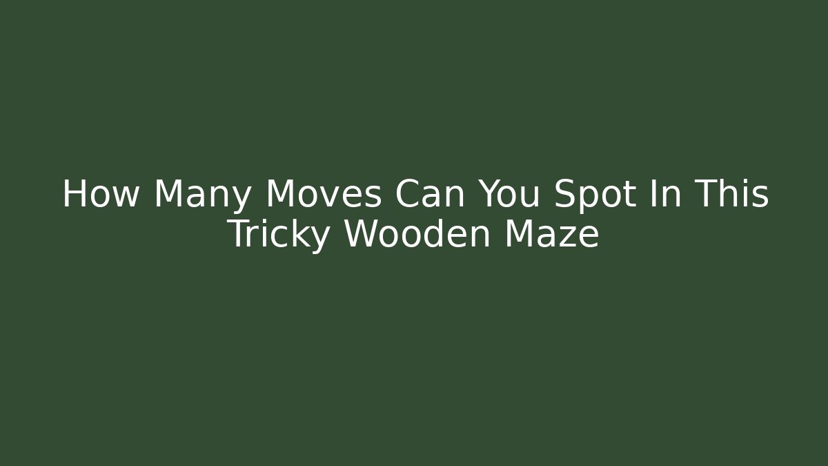 How Many Moves Can You Spot In This Tricky Wooden Maze
