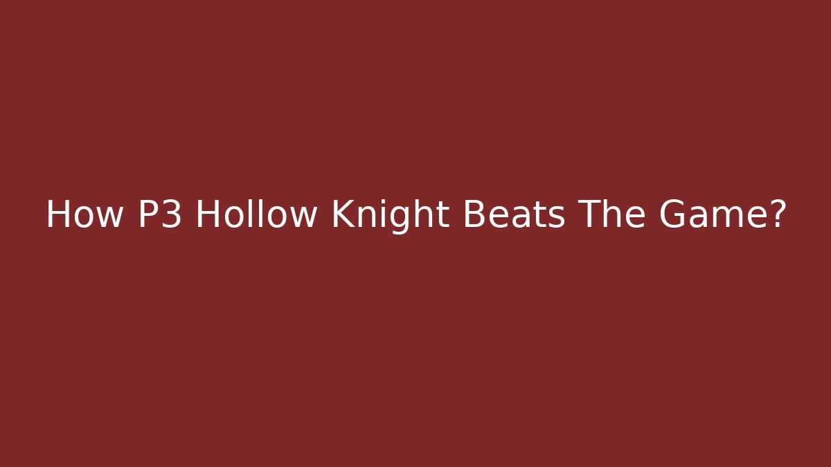 How P3 Hollow Knight Beats The Game?