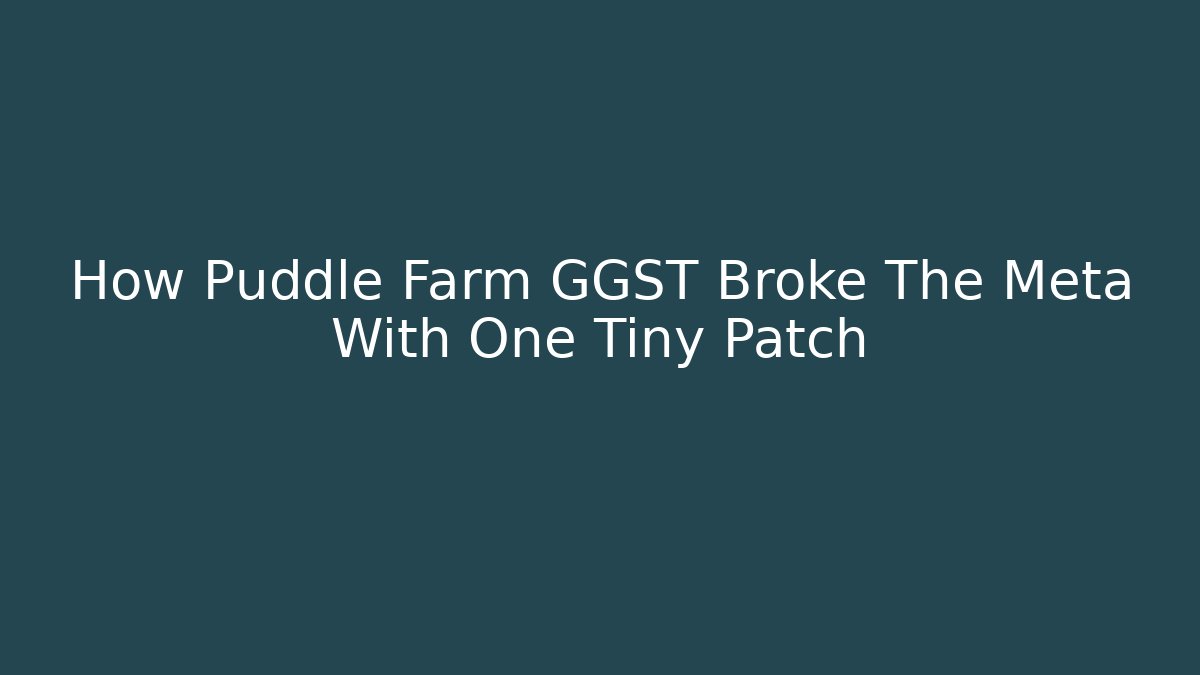 How Puddle Farm GGST Broke The Meta With One Tiny Patch