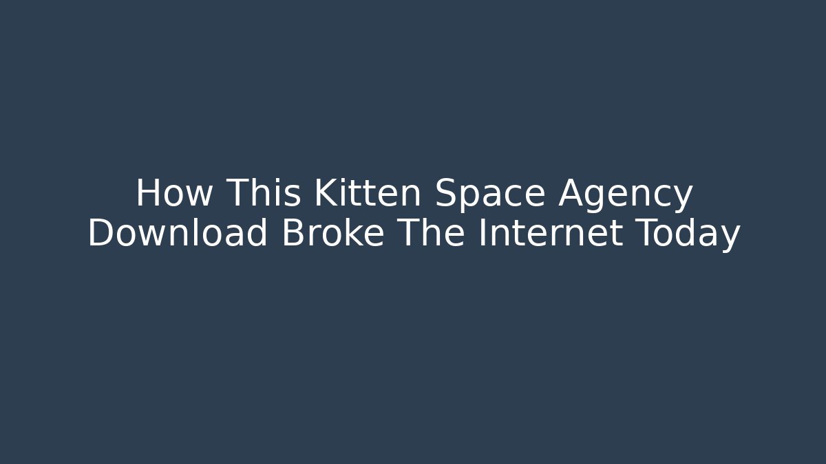 How This Kitten Space Agency Download Broke The Internet Today