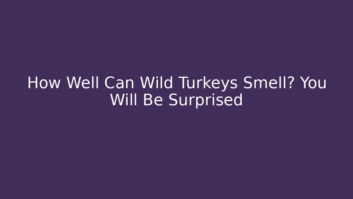 How Well Can Wild Turkeys Smell? You Will Be Surprised