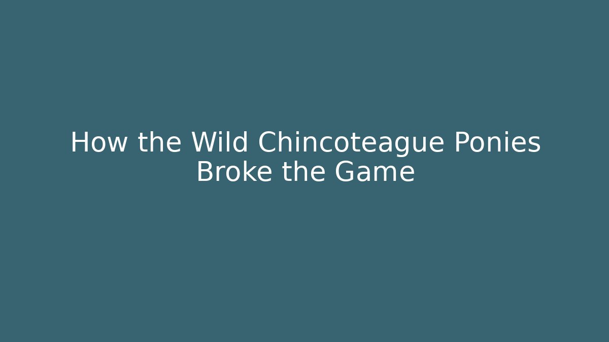 How the Wild Chincoteague Ponies Broke the Game