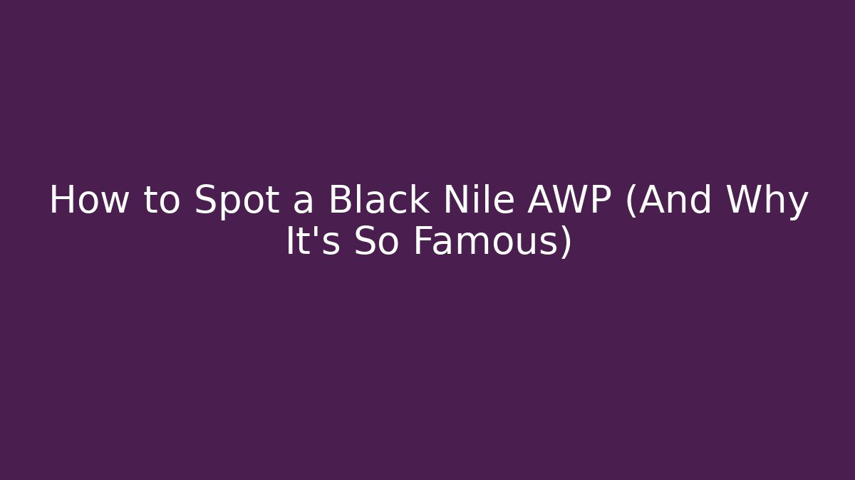 How to Spot a Black Nile AWP (And Why It's So Famous)