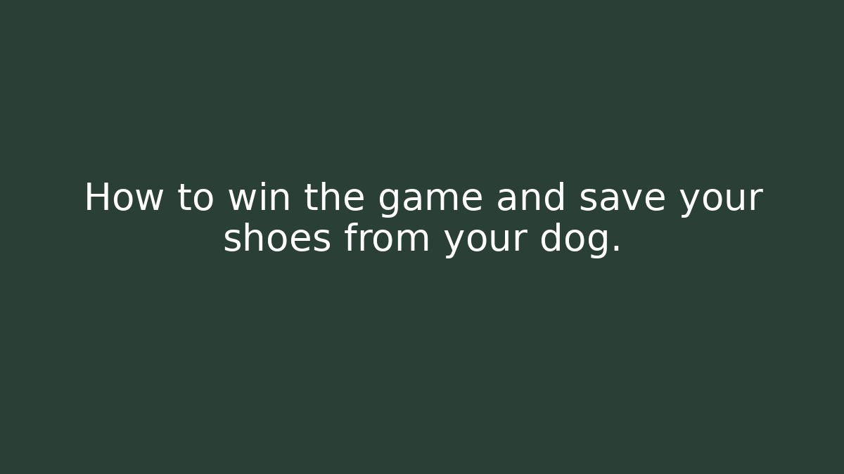 How to win the game and save your shoes from your dog.