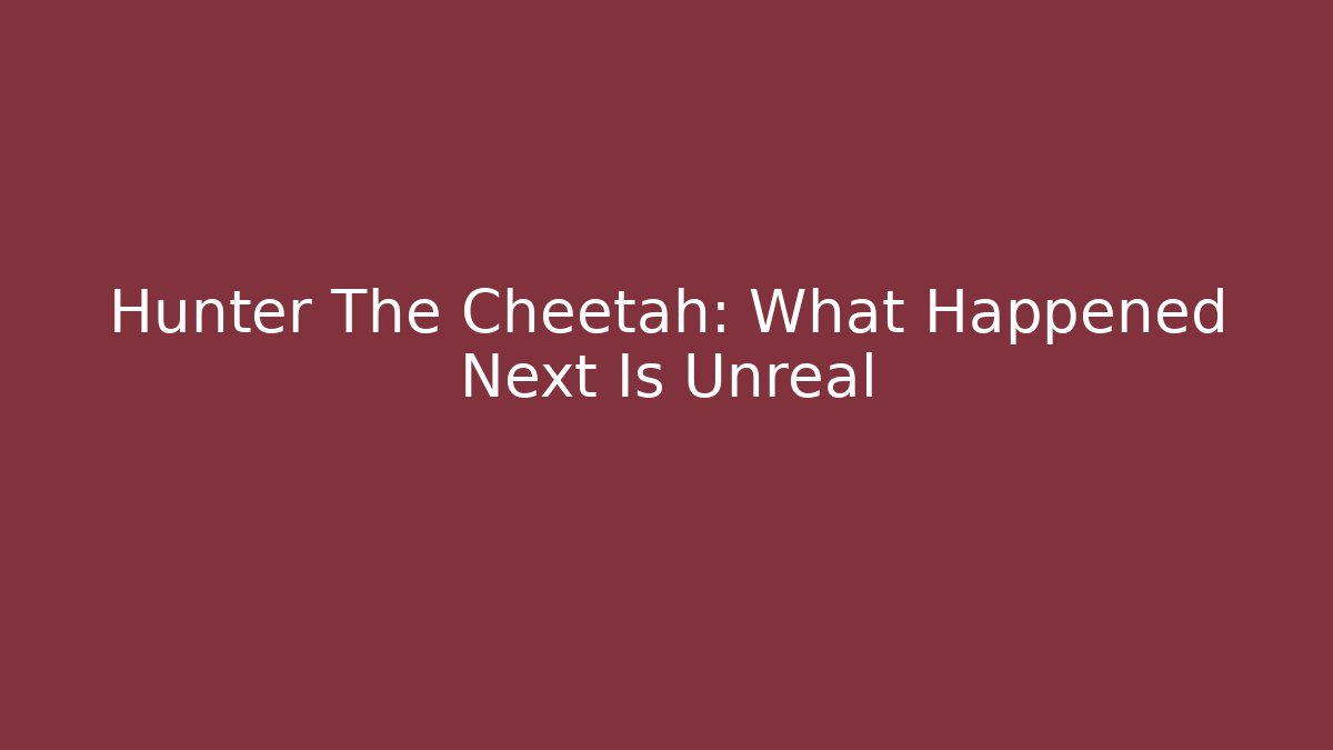 Hunter The Cheetah: What Happened Next Is Unreal