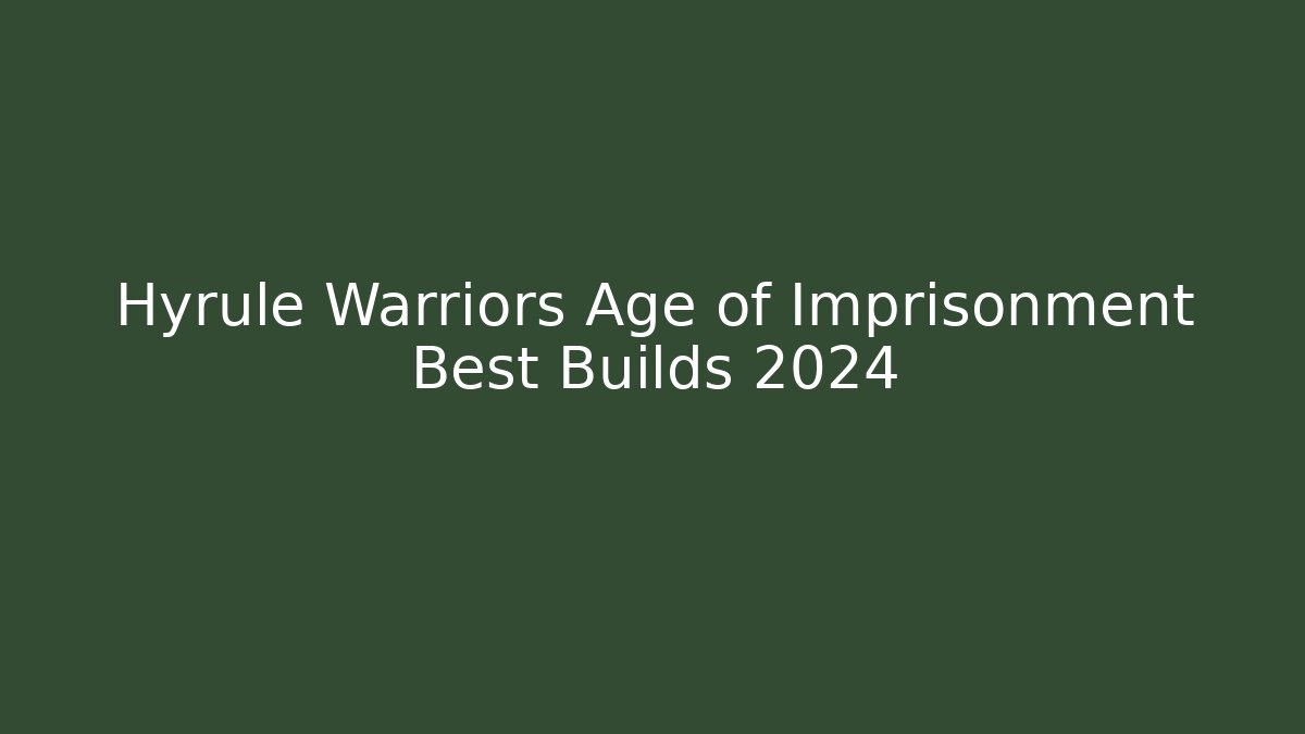 Hyrule Warriors Age of Imprisonment Best Builds 2024