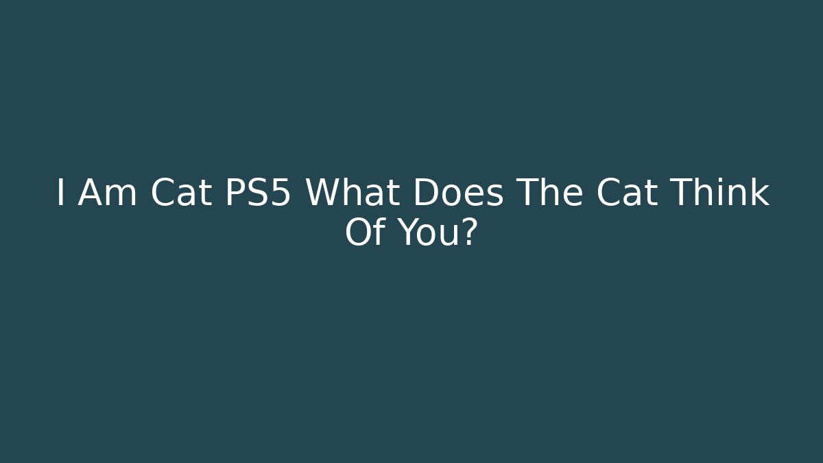 I Am Cat PS5 What Does The Cat Think Of You?