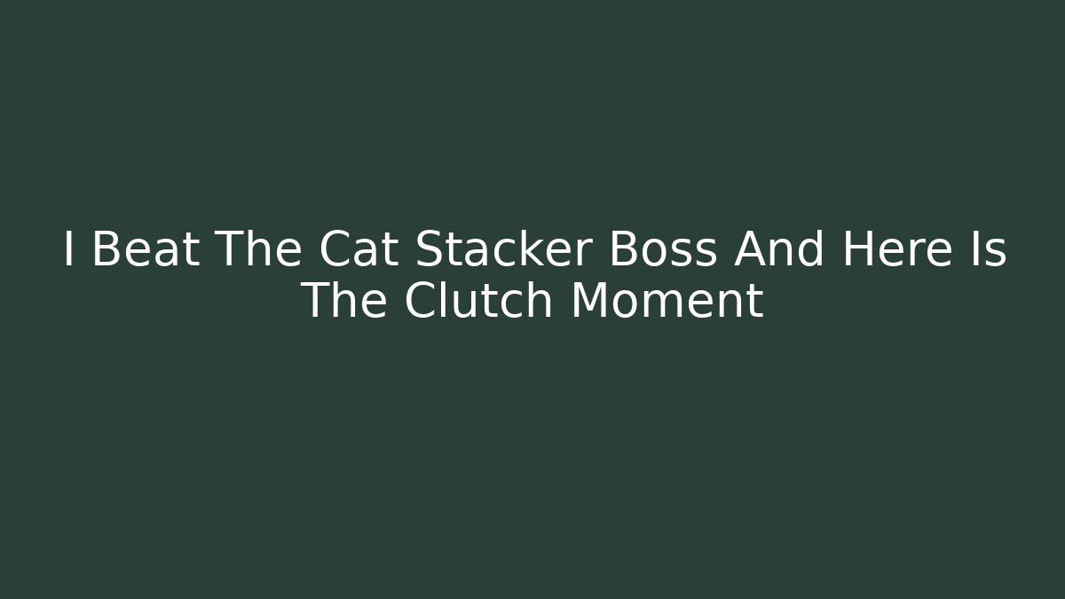 I Beat The Cat Stacker Boss And Here Is The Clutch Moment
