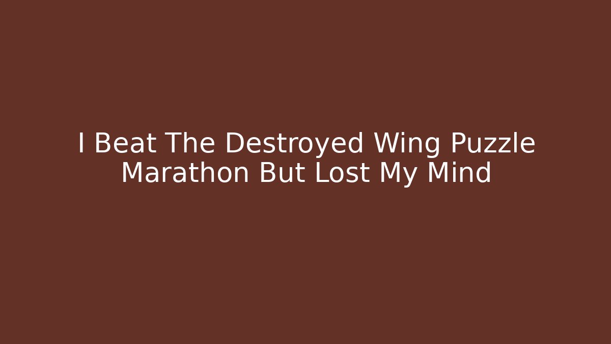 I Beat The Destroyed Wing Puzzle Marathon But Lost My Mind