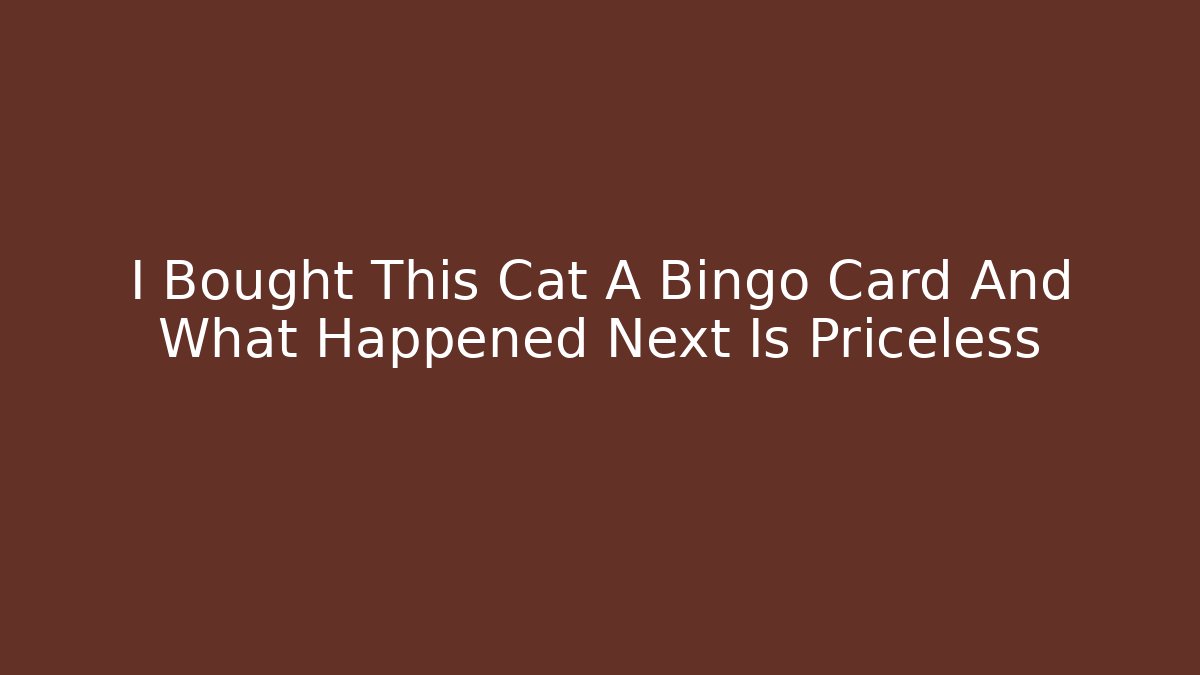 I Bought This Cat A Bingo Card And What Happened Next Is Priceless