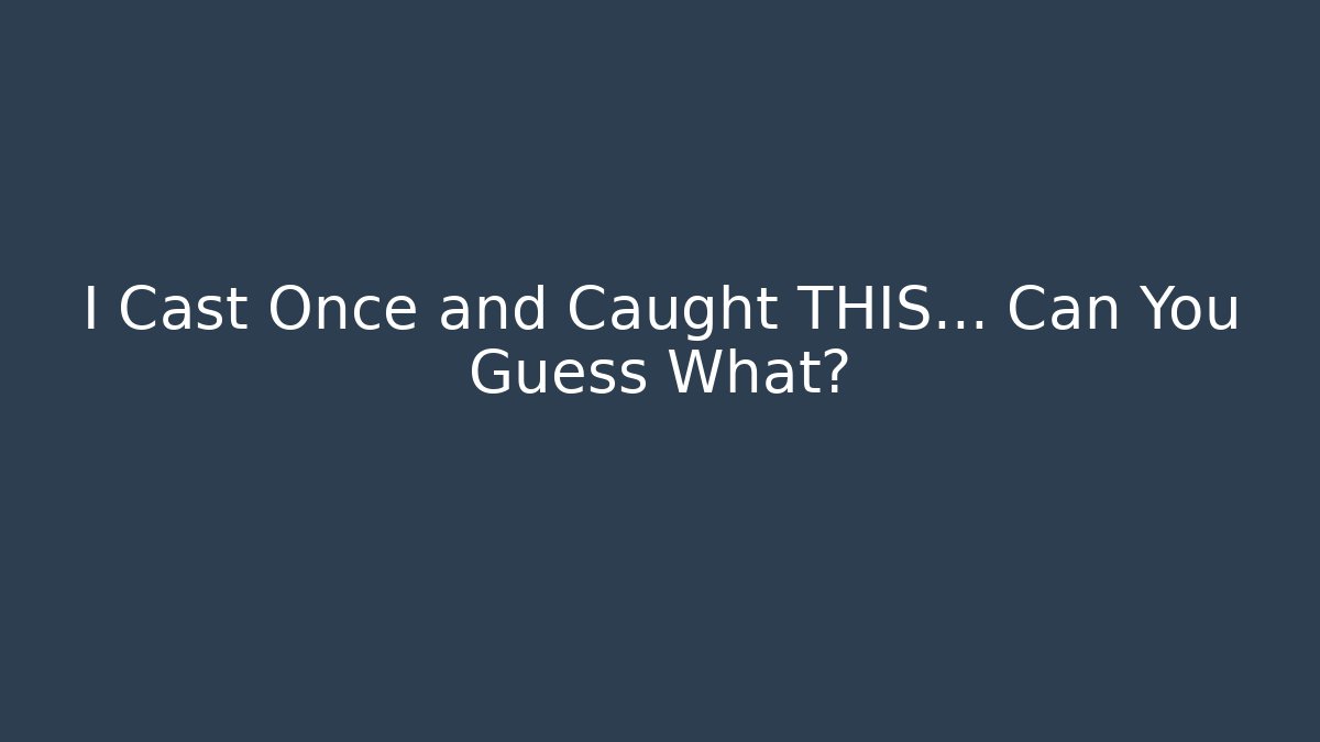 I Cast Once and Caught THIS… Can You Guess What?