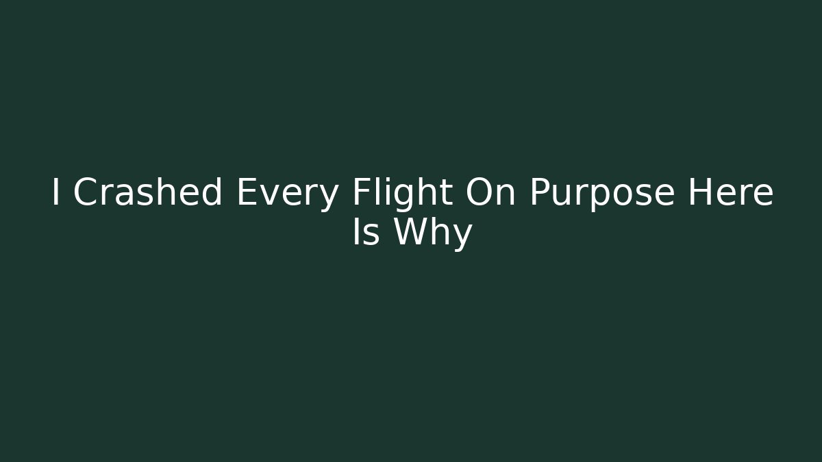 I Crashed Every Flight On Purpose Here Is Why - Critter Realm