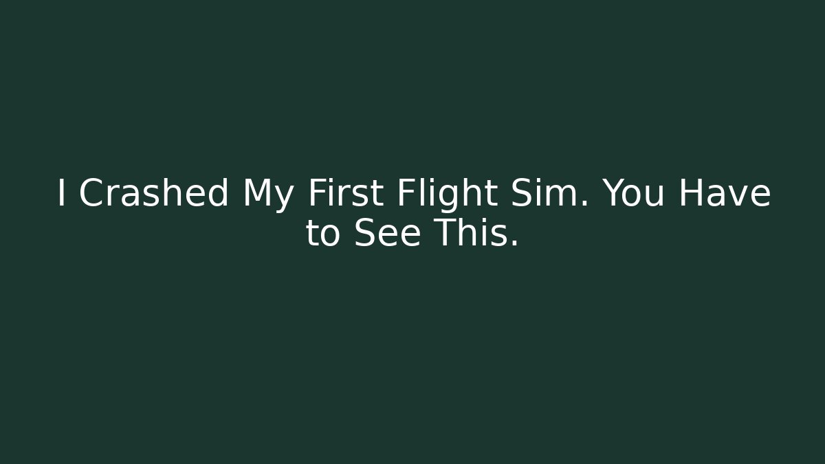 I Crashed My First Flight Sim. You Have to See This. - Critter Realm